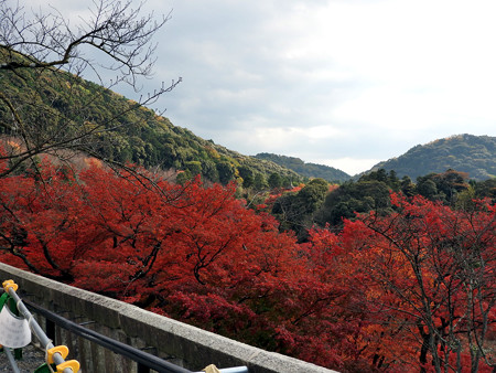 清水寺(昼)08