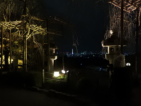 清水寺(夜)05