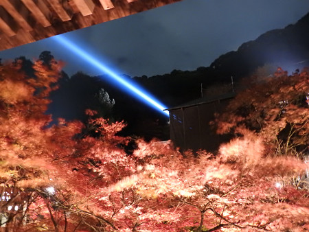 清水寺(夜)28