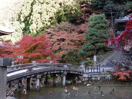 知恩院12