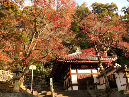 知恩院17
