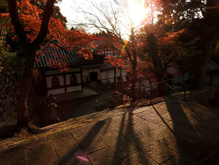 知恩院22