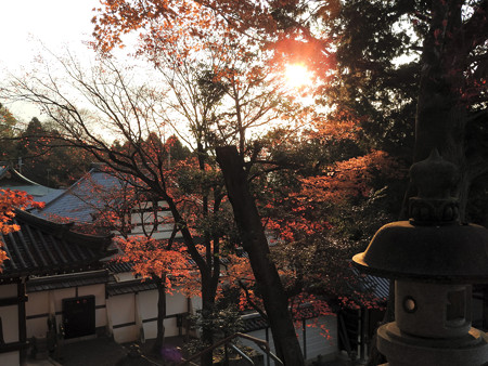 知恩院33