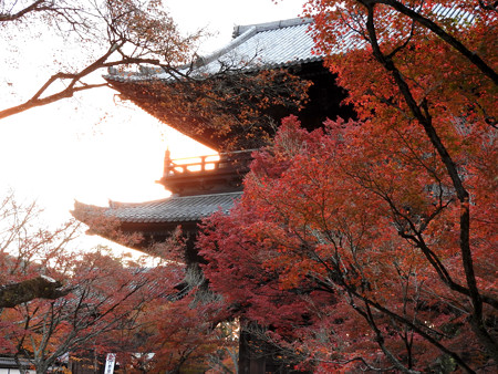 知恩院38