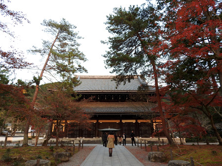 知恩院39