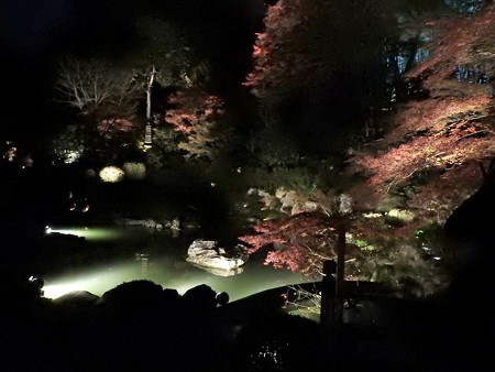 青蓮院門跡(ライトアップ)16 龍心池