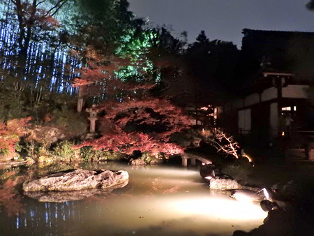 青蓮院門跡(ライトアップ)19 龍心池