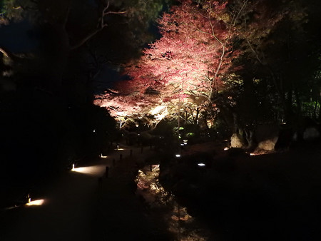 青蓮院門跡(ライトアップ)21