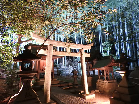 青蓮院門跡(ライトアップ)30