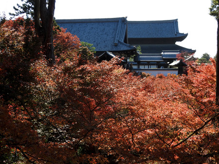 東福寺31