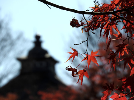 東福寺39