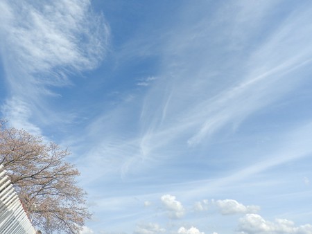 千葉子どもの国 02清しい空