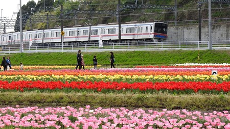 佐倉チューリップフェスタ ワイド09 京成電車