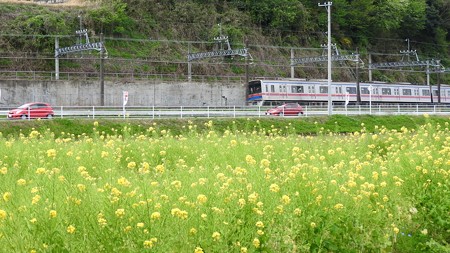 佐倉チューリップフェスタ ワイド10 京成電車
