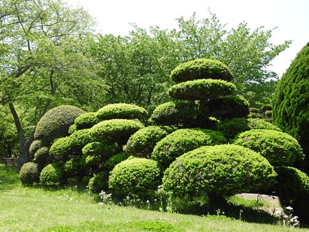 昭和の森20 市町村の森
