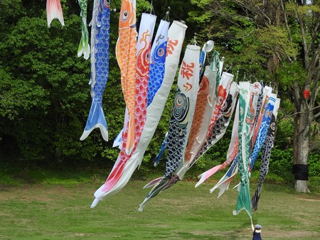 昭和の森23 鯉のぼり