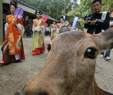 天平人と鹿