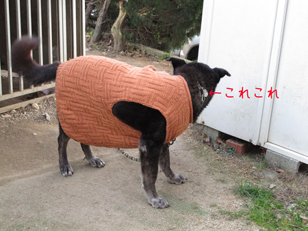 とれないようにつけました
