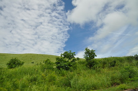 DSC_4416