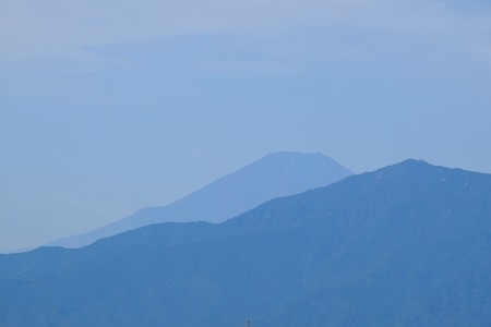 2015.09.30 瀬谷市民の森 富士山