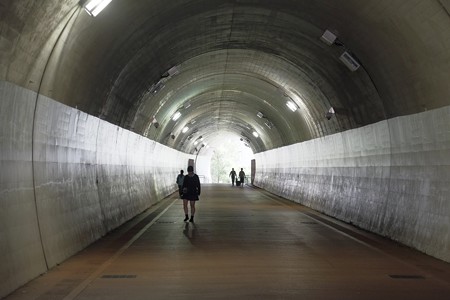 2015.10.22 東横フラワー緑道 高島山トンネル