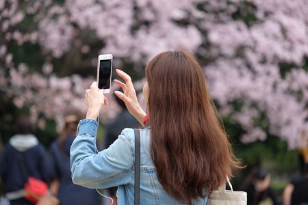 2016.04.01　千鳥ヶ淵　桜とiPhone