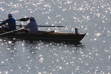 2010.01.10　鶴見川　漕艇場から