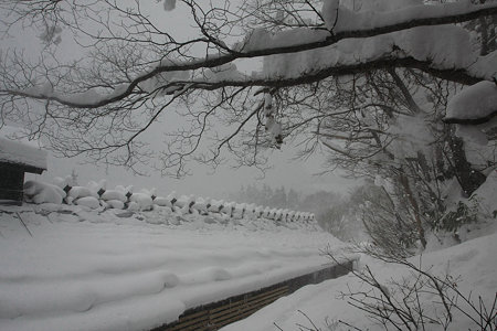 2010.01.15　鶴の湯　屋根