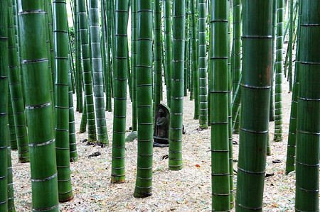 2010.03.05　鎌倉　報国寺　地蔵