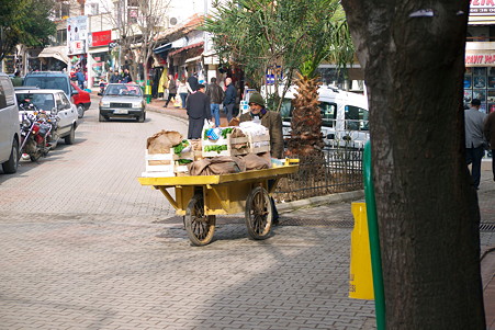 2011.01.22　トルコ　ゲリボル　野菜三輪車