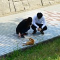 Photos: 猫好きの優しいカップルさん?～