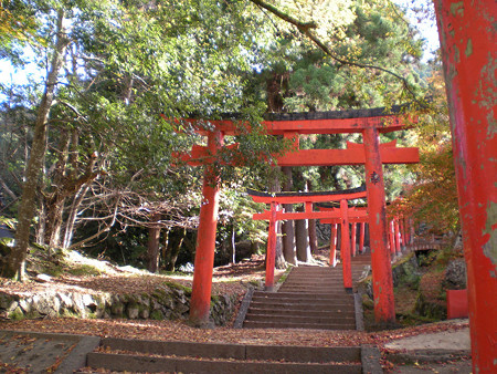 resize0578