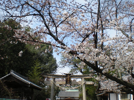 五