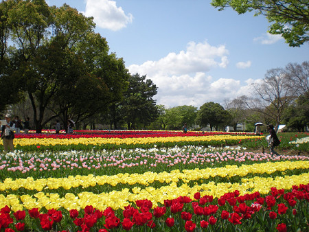 resize0825