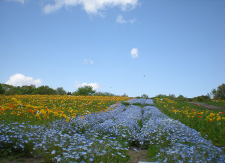resize0826