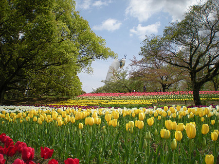 resize0828