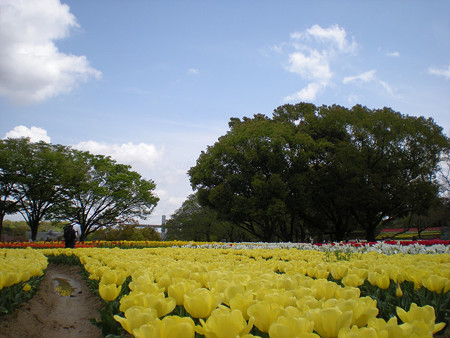 resize0829