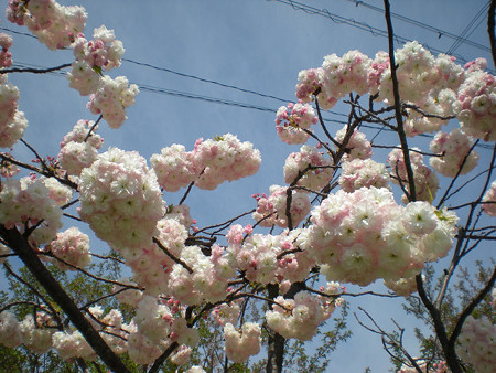 resize0830