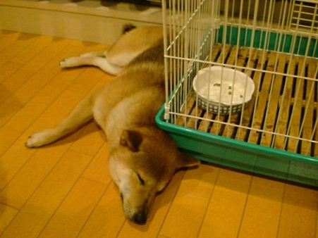 帰ったら