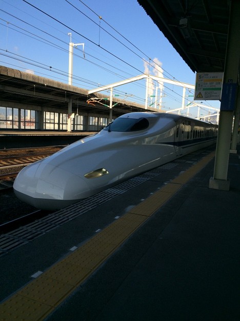 img_5919 写真: img_5919