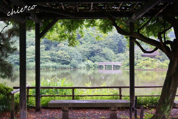 三渓園-021