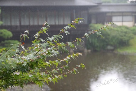 三渓園-130