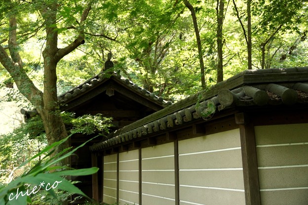 瑞泉寺-053