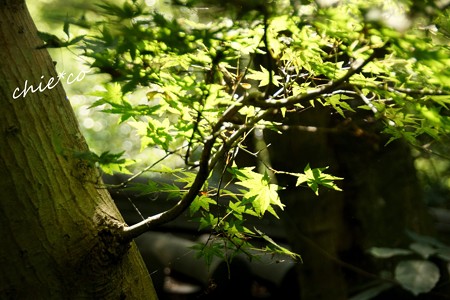 瑞泉寺-056