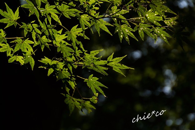 瑞泉寺-059