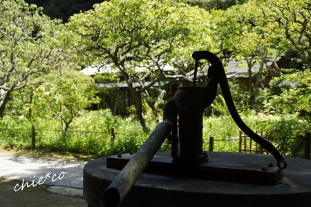 北鎌倉-191