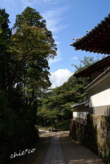 長月の円覚寺-266