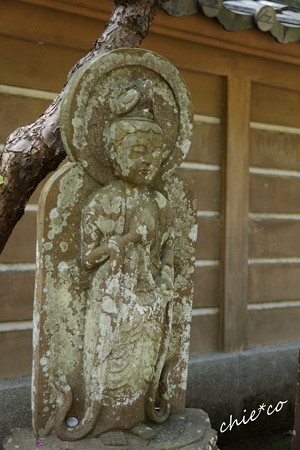 長月の円覚寺-270
