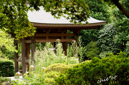 海蔵寺-116
