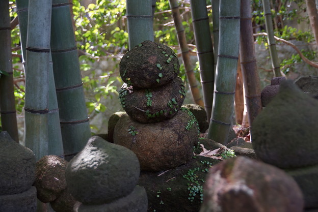 鎌倉-070